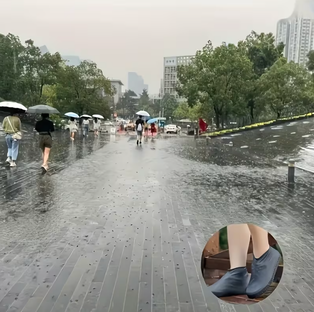 Rainora